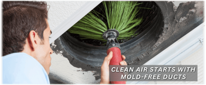 Air Duct Mold Removal in Ashburn VA